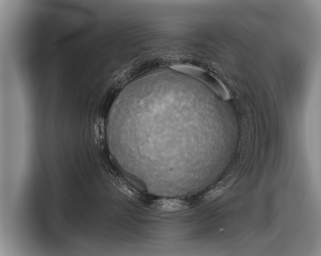 X0000116850528200912291242