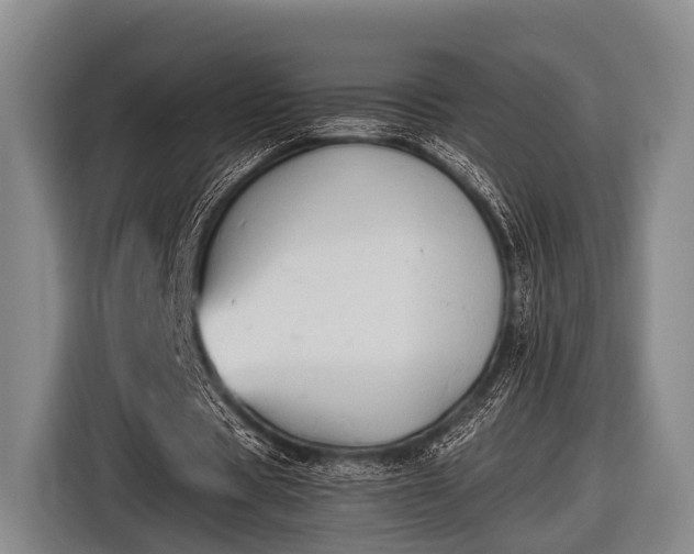 X0000116850529200912291242
