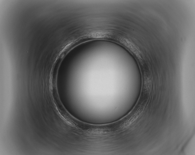 X0000116850530200912291242
