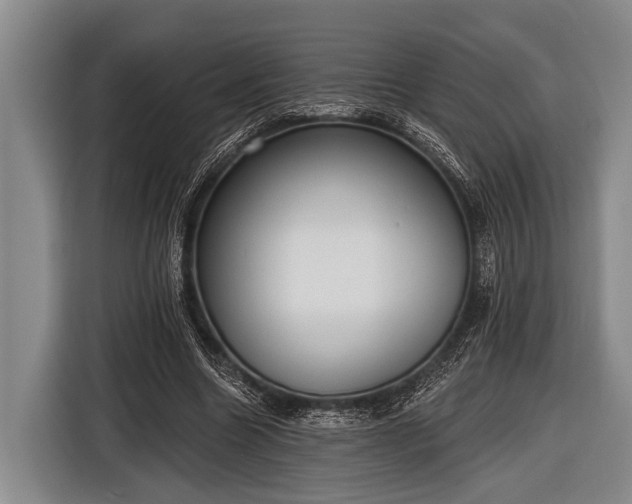 X0000116850538200912291242