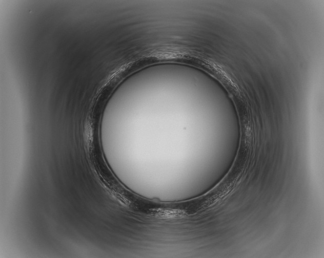 X0000116850539200912291242