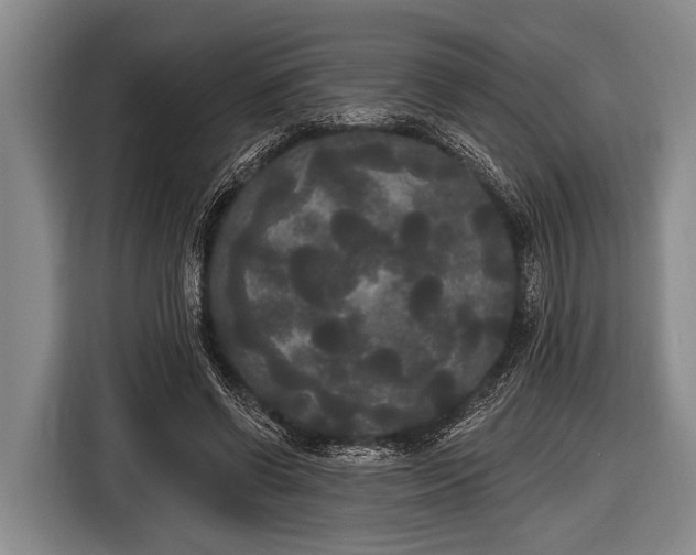 X0000116850542200912291242