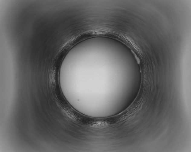 X0000116850543200912291242