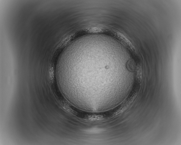 X0000116850549200912291242