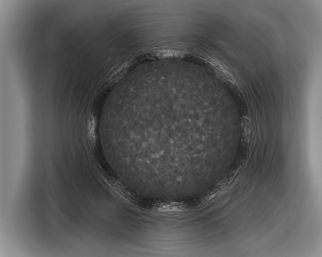 X0000116850550200912291242