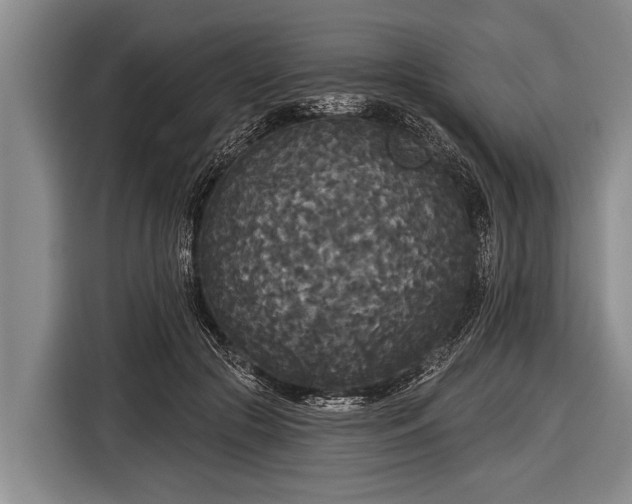 X0000116850553200912291242