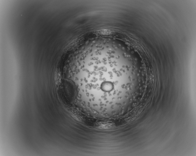X0000116850555200912291242