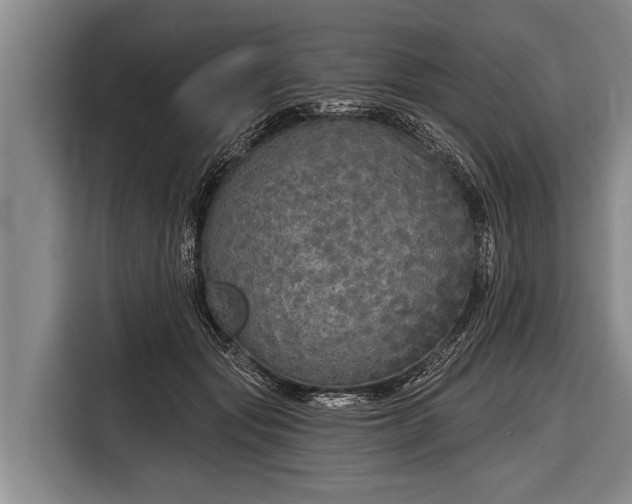X0000116850557200912291242