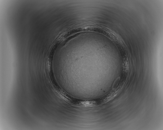 X0000116850558200912291242