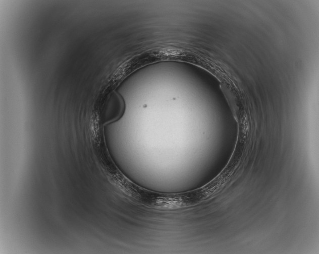 X0000116850559200912291242