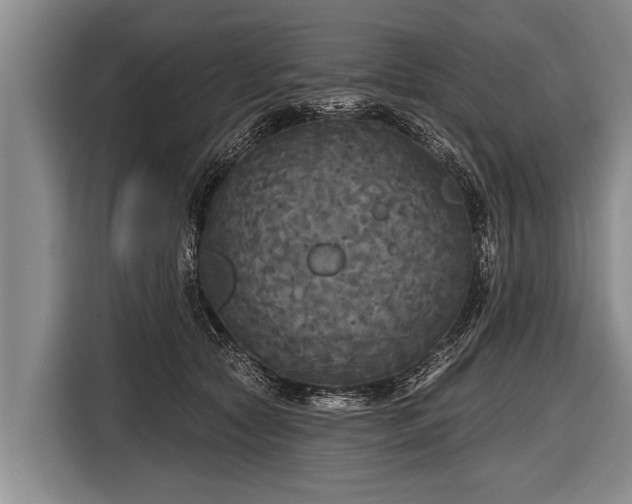 X0000116850561200912291242