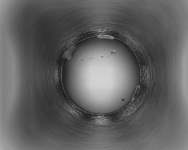 X0000116850562200912291242