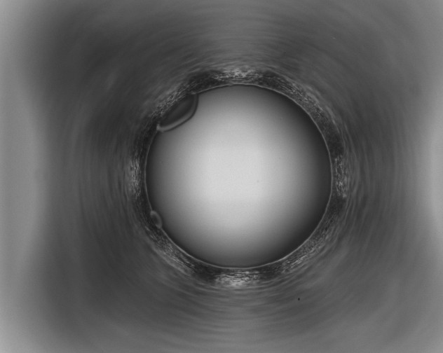 X0000116850563200912291242