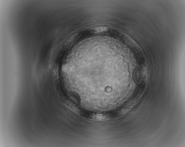 X0000116850565200912291242