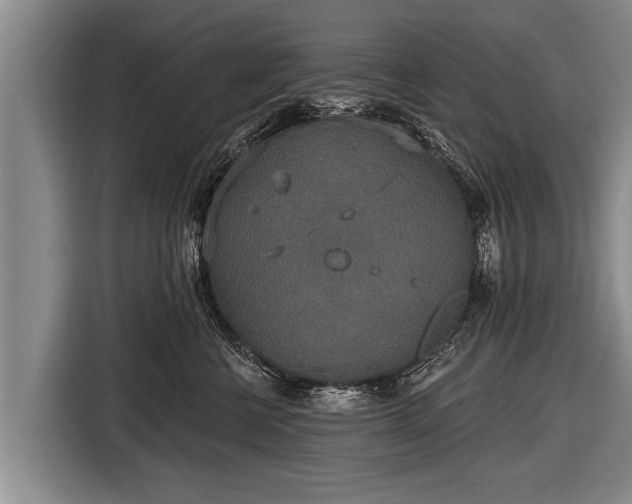 X0000116850570200912291242