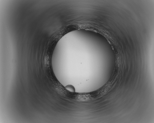 X0000116850571200912291242