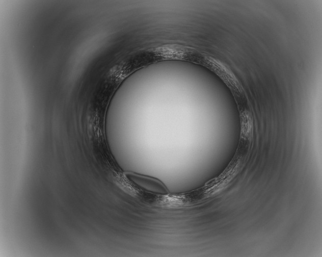 X0000116850573200912291242
