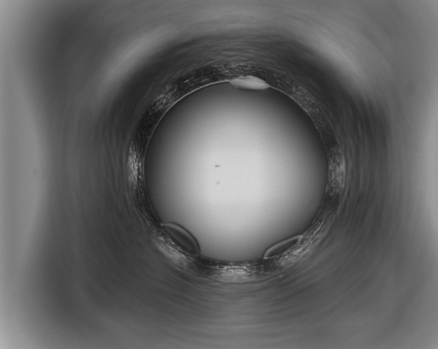X0000116850574200912291242