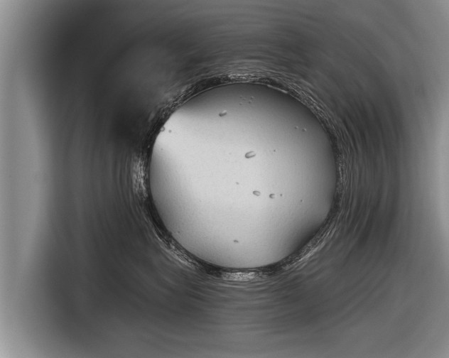X0000116850575200912291242