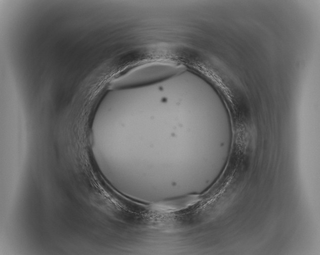 X0000116850577200912291242