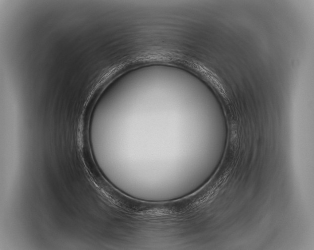 X0000116850578200912291242