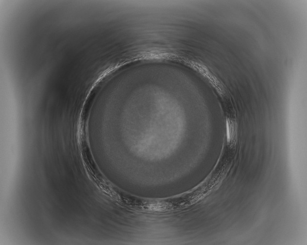 X0000116850579200912291242