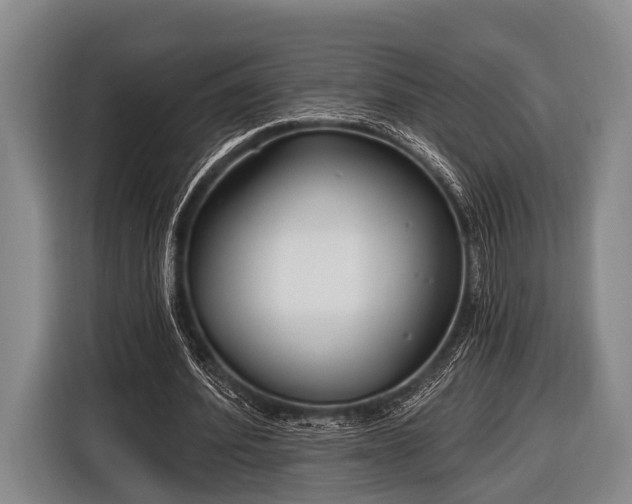 X0000116850580200912291242