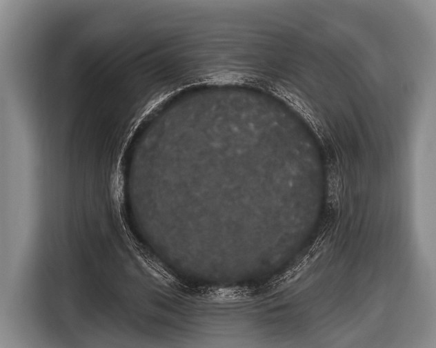 X0000116850584200912291242