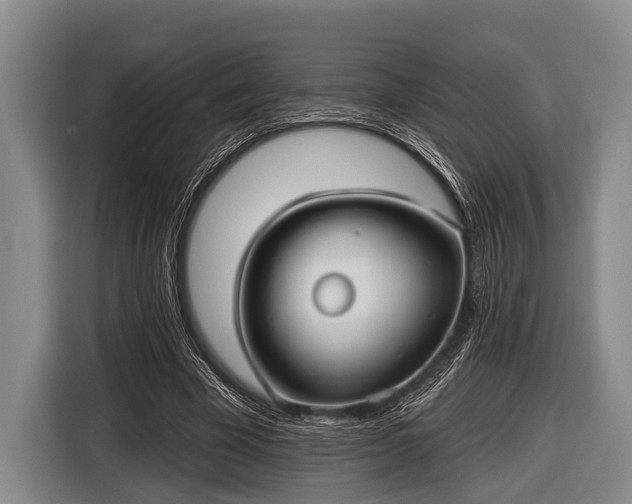 X0000116850585200912291242