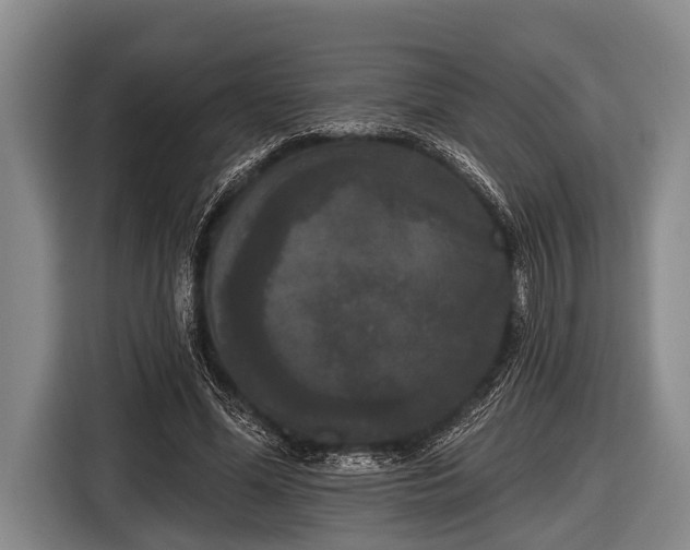 X0000116850588200912291242