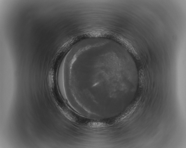 X0000116850590200912291242