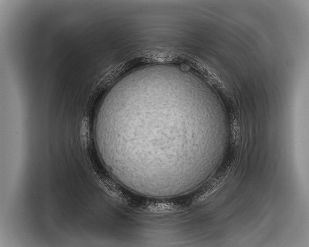 X0000116850594200912291241