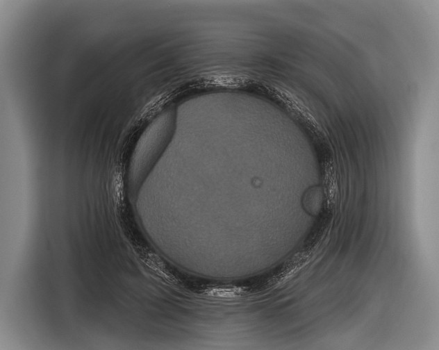 X0000116850595200912291241
