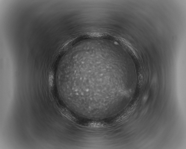 X0000116850596200912291241
