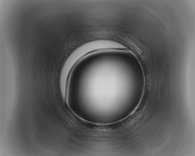 X0000116850597200912291241