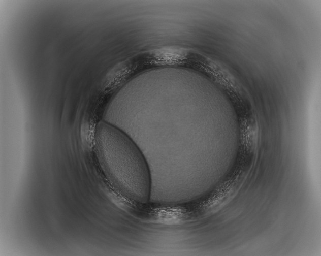 X0000116850599200912291241