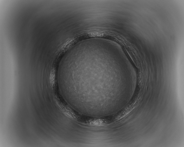 X0000116850600200912291241