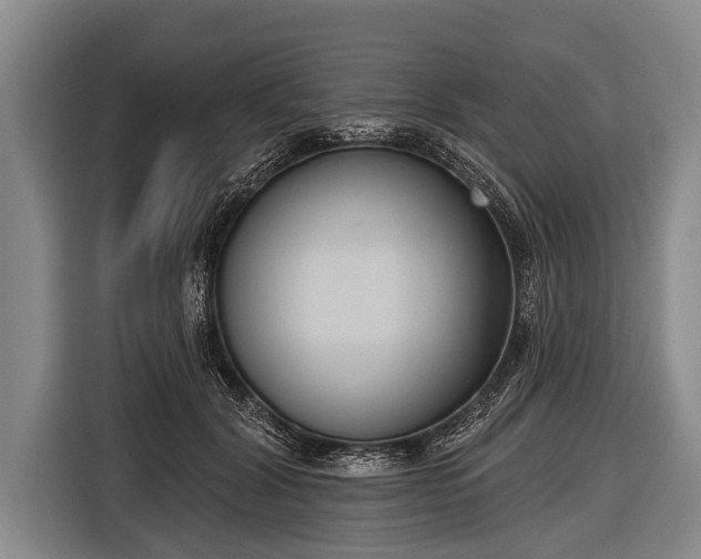 X0000116850604200912291241