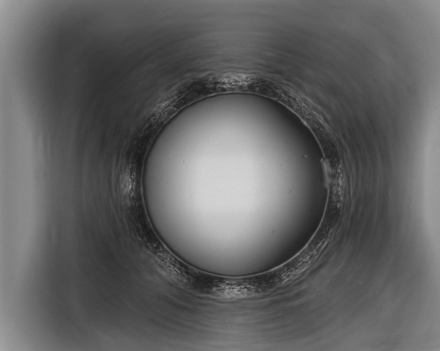 X0000116850608200912291241