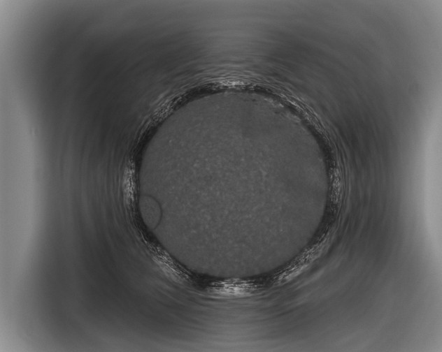 X0000116850612200912291241