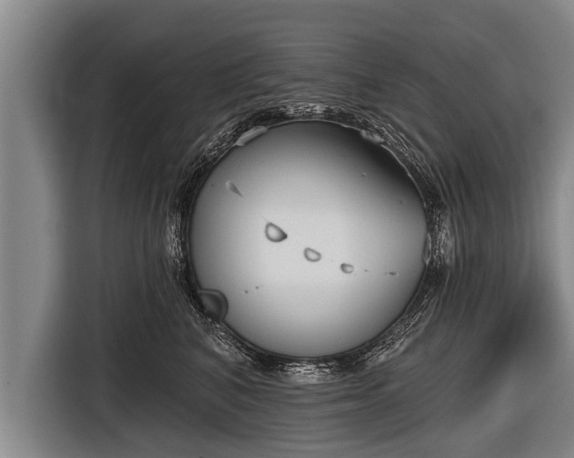 X0000116850616200912291241