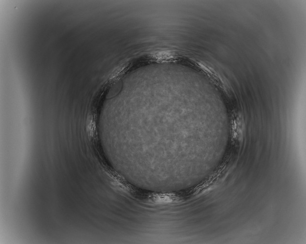 X0000116850618200912291241