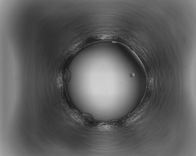 X0000116850620200912291241