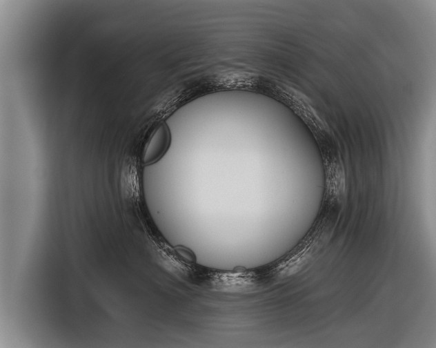 X0000116850622200912291241