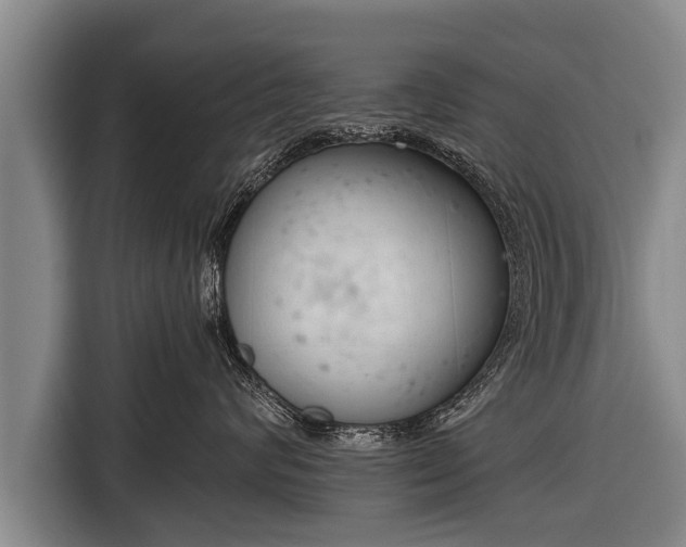 X0000116850624200912291241