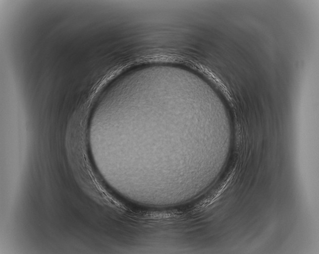 X0000116850625200912291240