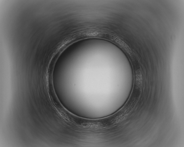 X0000116850626200912291240