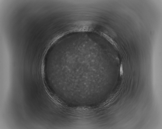 X0000116850627200912291240