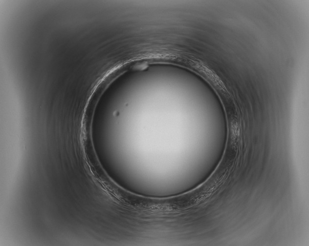 X0000116850628200912291241