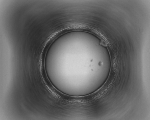 X0000116850629200912291241